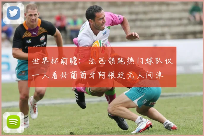 世界杯前瞻：法西领跑热门球队仅一人看好葡萄牙阿根廷无人问津